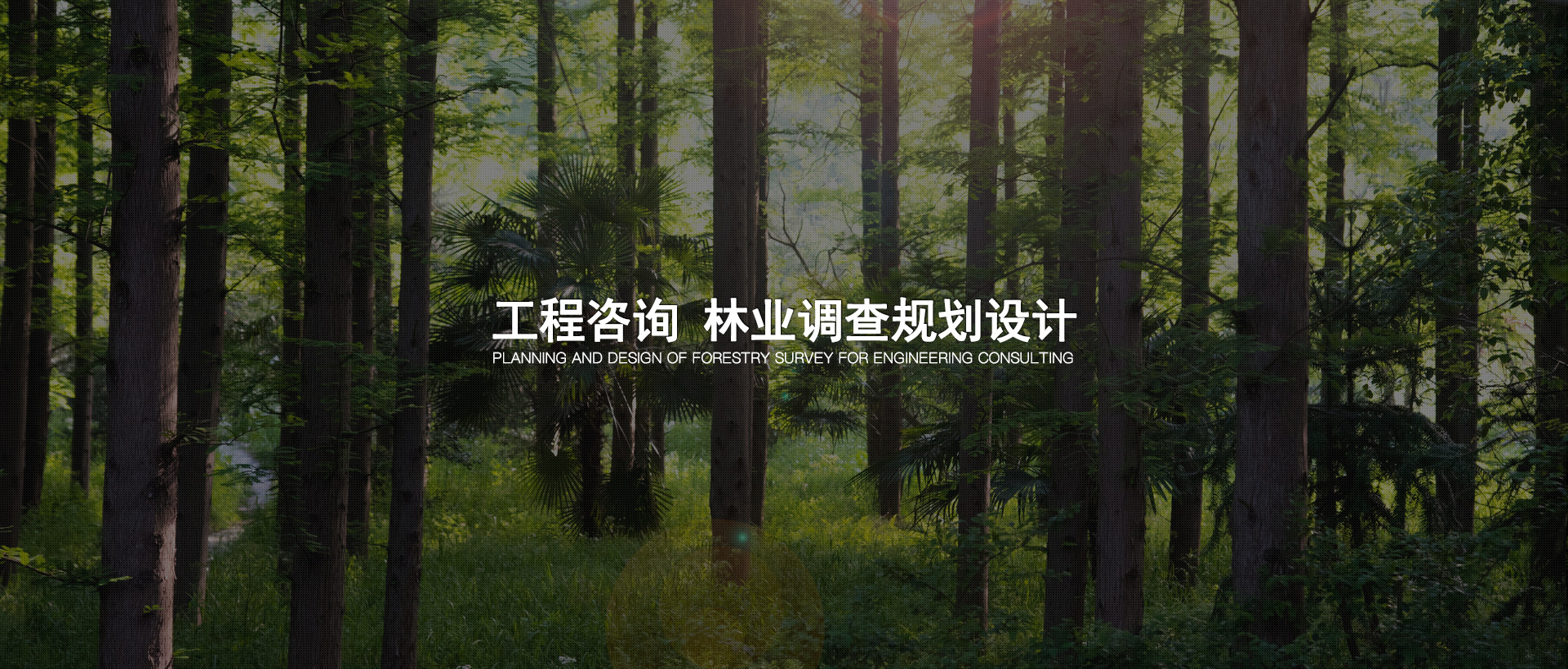 可行性研究報告