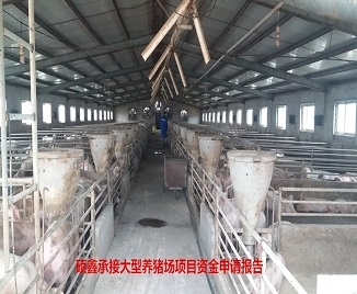 碩鑫咨詢完成大型養殖（養豬）場項目資金申請報告