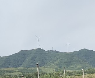 風電項目占用林地可行性報告現場勘察