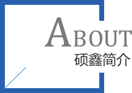 可行性研究報告